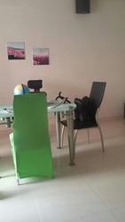 Blk 13 Farrer Park Road (Kallang/Whampoa), HDB 5 Rooms #178050932